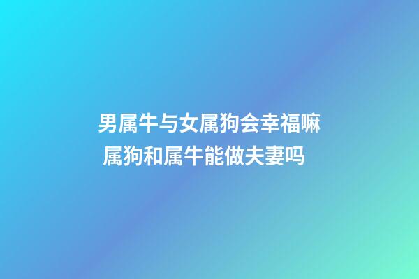 男属牛与女属狗会幸福嘛 属狗和属牛能做夫妻吗